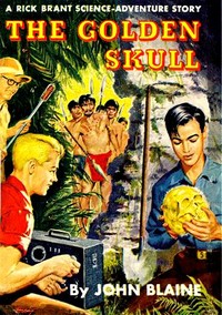 Cover of The Golden Skull: A Rick Brant Science-Adventure Story — Edition Insights