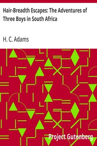 Cover of Hair-Breadth Escapes: The Adventures of Three Boys in South Africa — A Reader’s Guide