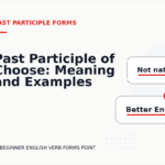 Past Participle of Choose: Meaning and Examples